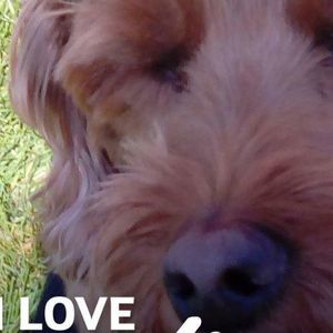 Meet your Posher, Jodee